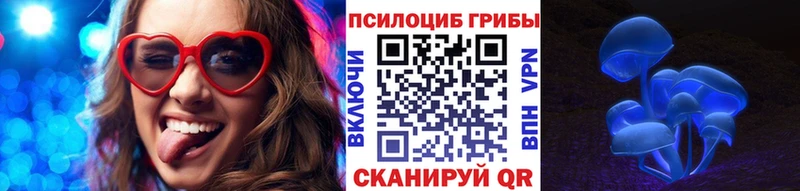 Псилоцибиновые грибы Psilocybine cubensis  Купить где  Курчалой 