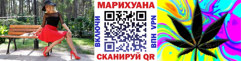 Купить закладки  Курчалой  Бошки марихуана THC 21% 